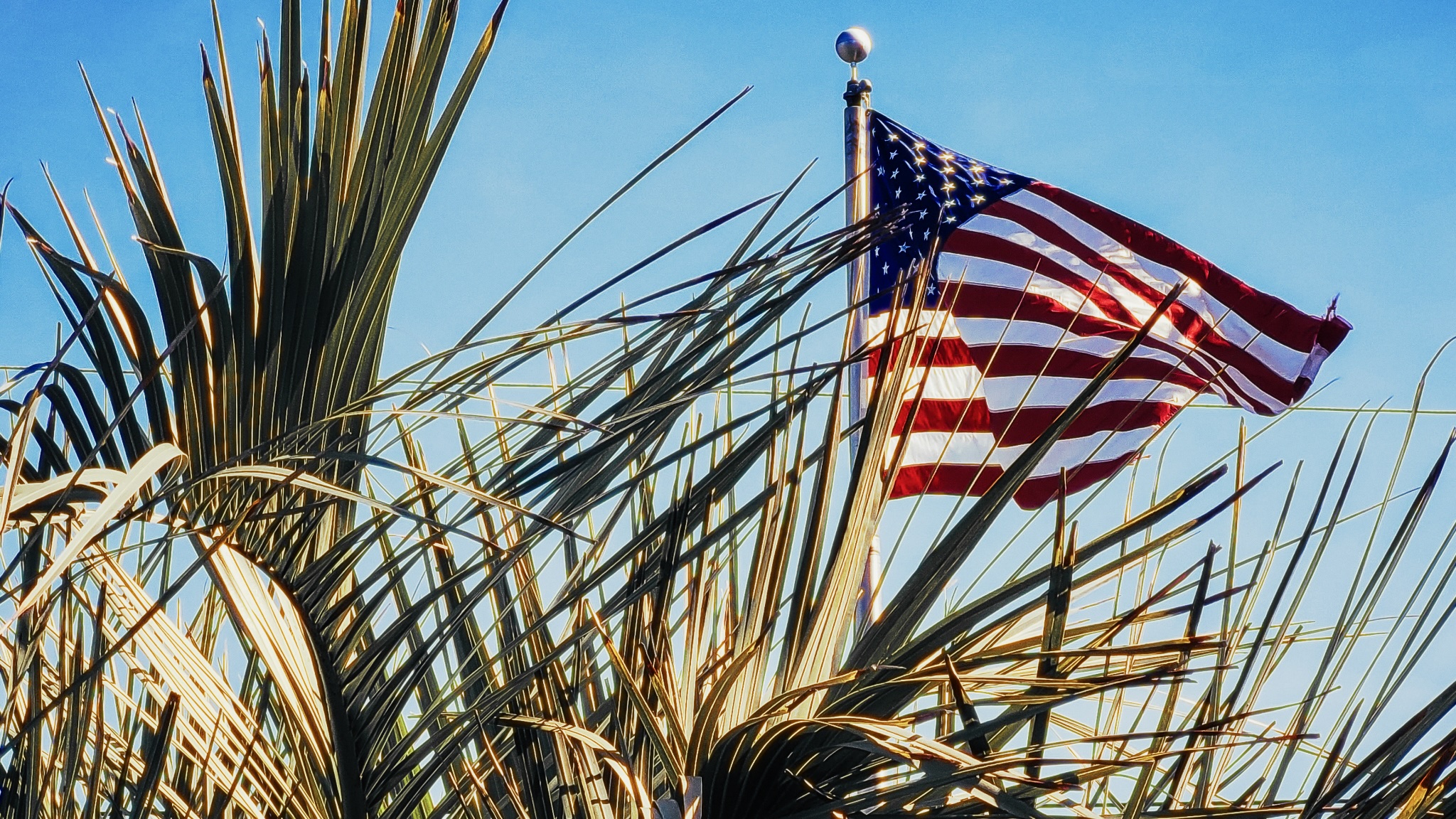 What is the Reddy Room?